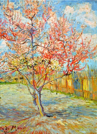 Peach Tree In Bloom At Arles, C.1888 By Vincent Van Gogh